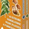 Buiten-Speelkaarten Wilderniskaarten - Eetbare Wilde Flora