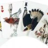 Kikkerland 3D Speelkaarten - Vogels - Kaartspel - Pokerformaat - Vogelplaatjes - Gezelschapsspel - Geschikt Voor Poker, Patience, Bridge, Blackjack, Pesten -Spellen Kast 550x286 3