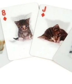 Kikkerland 3D Speelkaarten - Katten -Spellen Kast 550x288 6