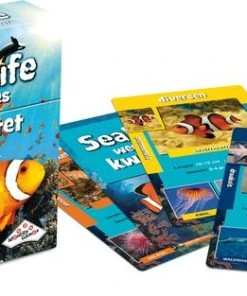 Identity Games Sealife Weetjeskwartet -Spellen Kast 550x313 1