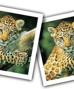 Ravensburger Jonge Dieren Memory® -Spellen Kast 550x329 2