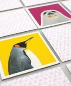Tactic Wildlife Memo - Kinderspel -Spellen Kast 550x366 233