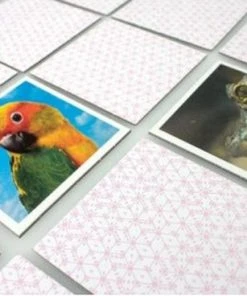 Tactic Animals Babies Memo - Kinderspel -Spellen Kast 550x368 8