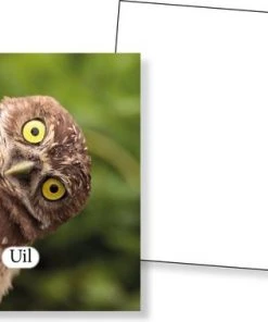 Huurdies Cadeautip! Educatief Dieren Memory Spel - Dierenspel - Dierensoorten Spel - Memoryspel Dieren Met Bijhorende Benamingen- Memory Spel - 70 Kaarten - Schoencadeautjes Sinterklaas -Spellen Kast 550x378 6