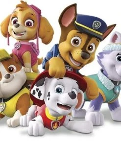 William H. Hurter Ravensburger PAW Patrol Memory - Kaartspel -Spellen Kast 550x380 5