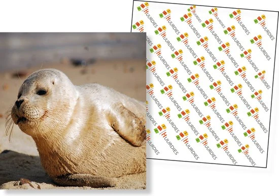 Huurdies Cadeautip! Oceaan Memory - Oceaan - Memory Spel - 70 Stuks - Schoencadeautjes Sinterklaas 6 Huurdies Cadeautip! Oceaan Memory - Oceaan - Memory Spel - 70 Stuks - Schoencadeautjes Sinterklaas - Afbeelding 4