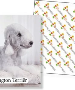 Huurdies Cadeautip! - Honden Memory - Hondenrassen - Honden Memory Spel - Educatief Memoryspel - 70 Stuks - Schoencadeautjes Sinterklaas -Spellen Kast 550x386 13