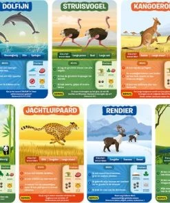 Skillmatics Wijzer Over De Basisschool - Raad Na 10 - Dierenwereld 12 Skillmatics Wijzer Over De Basisschool - Raad Na 10 - Dierenwereld -Spellen Kast 550x416 4