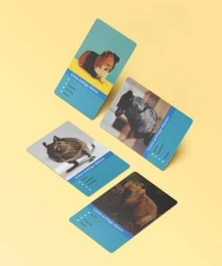 Huurdies Cadeautip! Kwartetspel Dieren XL - Kwartetspel Volwassenen - Kwartetspel Kinderen - 48 Kaarten - 12 Kwartetten - Schoencadeautjes Sinterklaas 8 Huurdies Cadeautip! Kwartetspel Dieren XL - Kwartetspel Volwassenen - Kwartetspel Kinderen - 48 Kaarten - 12 Kwartetten - Schoencadeautjes Sinterklaas -Spellen Kast 550x530 6