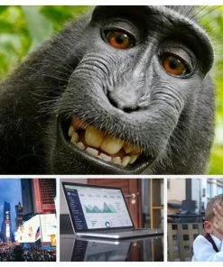 Scrumartikelen.nl Coachkaarten Groot Formaat 21 X 15 Cm Voor Workshops En Training Coachingskaarten - Associatiekaarten Inspiratiekaarten - Fotokaarten Voor Kinderen, Jongeren En Volwassenen - 45 Kaarten In Stevig Doosje -Spellen Kast 550x550 122