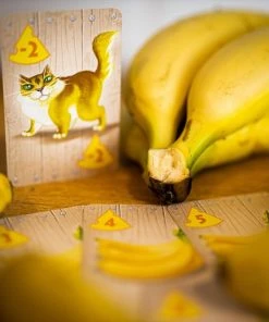 White Goblin Games Kaartspel Rat Attack Party (nl) -Spellen Kast 550x550 353