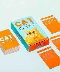 Gift Republic Kat IQ Test -Spellen Kast 550x550 373