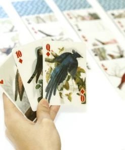 Kikkerland 3D Speelkaarten - Vogels - Kaartspel - Pokerformaat - Vogelplaatjes - Gezelschapsspel - Geschikt Voor Poker, Patience, Bridge, Blackjack, Pesten 12 Kikkerland 3D Speelkaarten - Vogels - Kaartspel - Pokerformaat - Vogelplaatjes - Gezelschapsspel - Geschikt Voor Poker, Patience, Bridge, Blackjack, Pesten -Spellen Kast 550x550 407