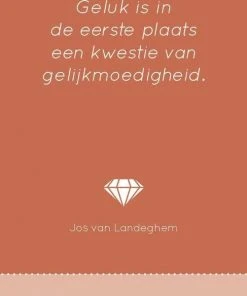 Annelies Wiersma 100 Kleurrijke Deugden Inzichtkaarten -Spellen Kast 550x584 10