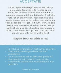 Annelies Wiersma 100 Kleurrijke Deugden Inzichtkaarten -Spellen Kast 550x636 4