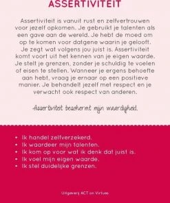 Annelies Wiersma 100 Kleurrijke Deugden Inzichtkaarten -Spellen Kast 550x636 5