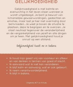 Annelies Wiersma 100 Kleurrijke Deugden Inzichtkaarten -Spellen Kast 550x636 6