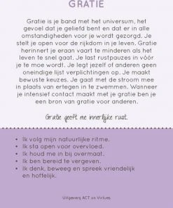 Annelies Wiersma 100 Kleurrijke Deugden Inzichtkaarten -Spellen Kast 550x636 8