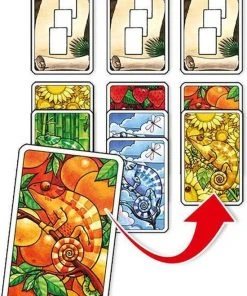 Abacus Spiele Coloretto - Kaartspel -Spellen Kast 550x760 2