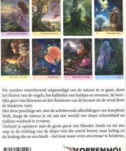 Angela Hartfield Fluisteringen Van De Natuur -Spellen Kast 550x801 5