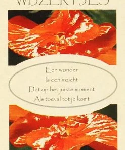 M.I. Van Dijk-Boelhouwer Wijzertjes Inzichtkaarten